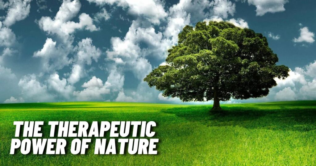 The Therapeutic Power of Nature