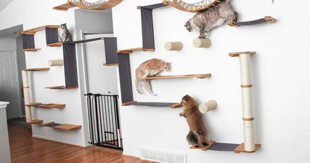 DIY Installation Tips for Cat Wallpaper