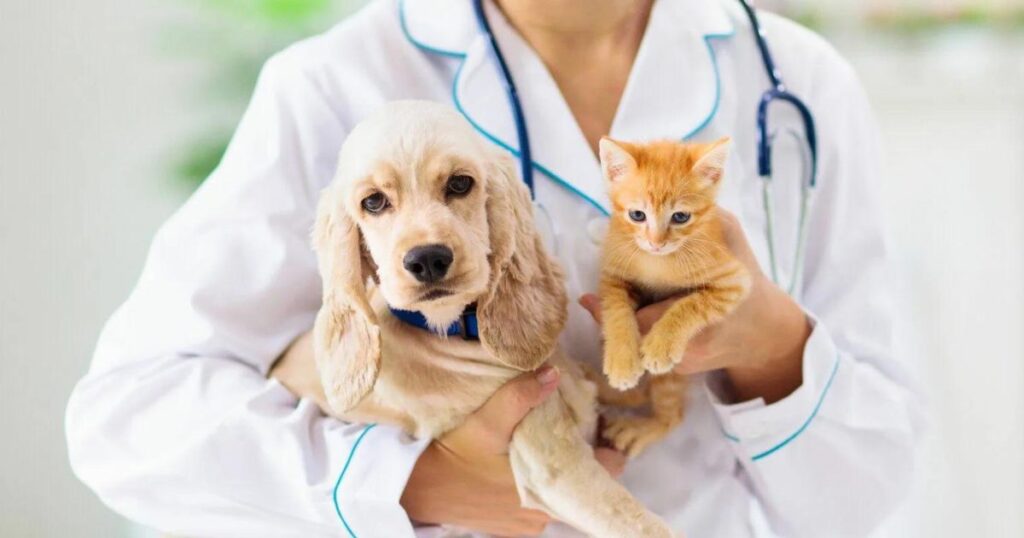 Educational Resources and Pet Care Tips