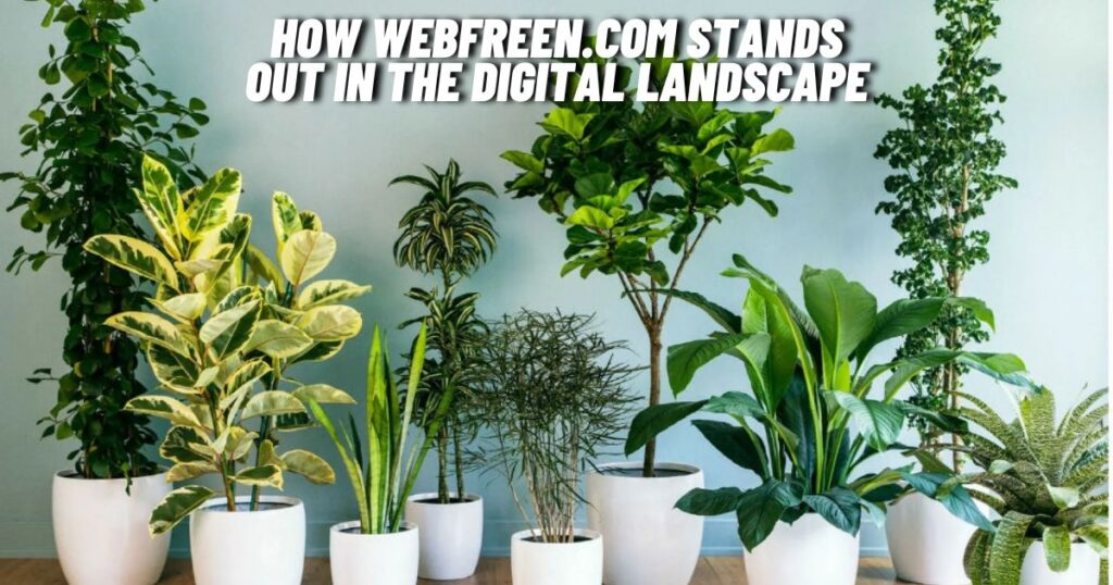 How Webfreen.com Stands Out in the Digital Landscape