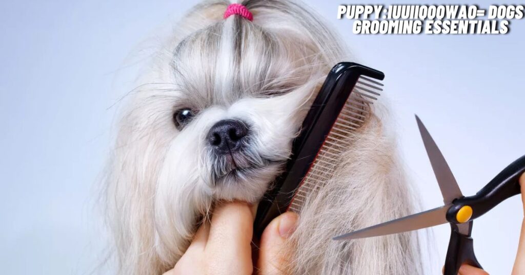 Puppy:iuuiiqqqwao= Dogs Grooming Essentials